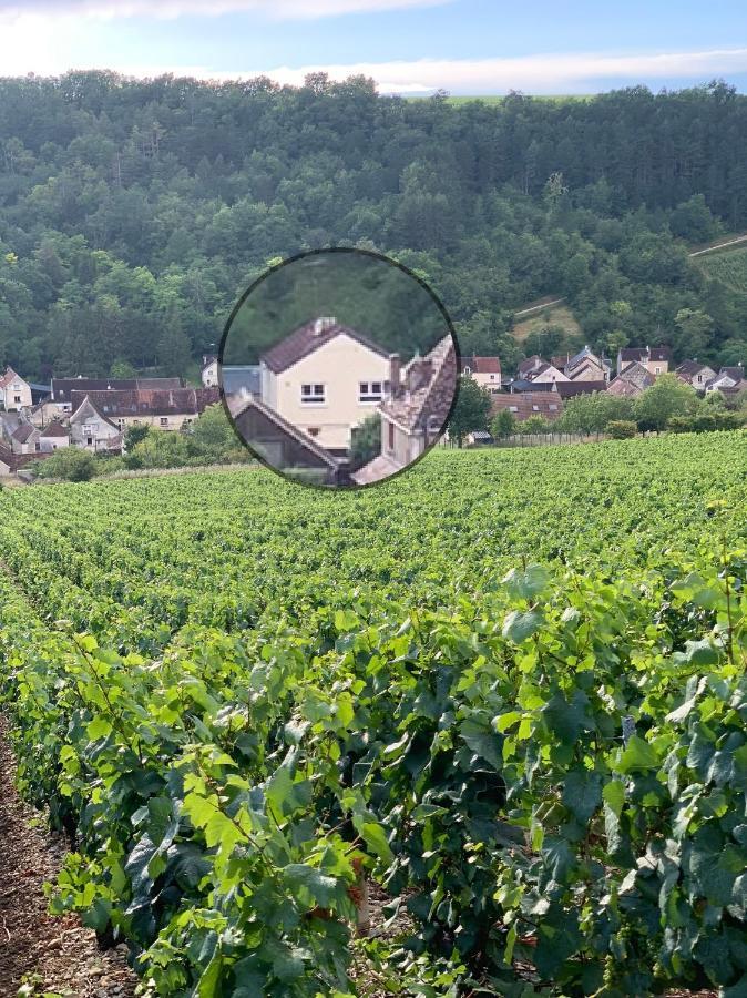 Maison De Campagne Entre Vigne Et Bois Chablis Exterior foto